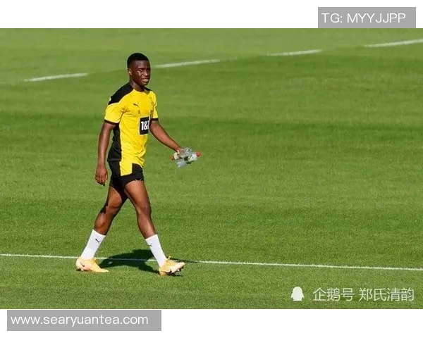 多蒙特与勒沃库森激战在即谁能在德甲赛场上笑到最后