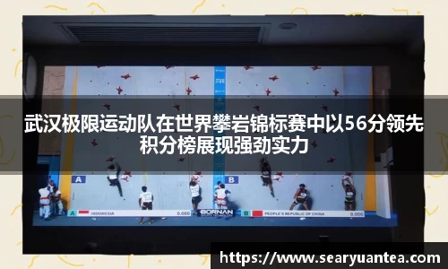 k1体育官方网站